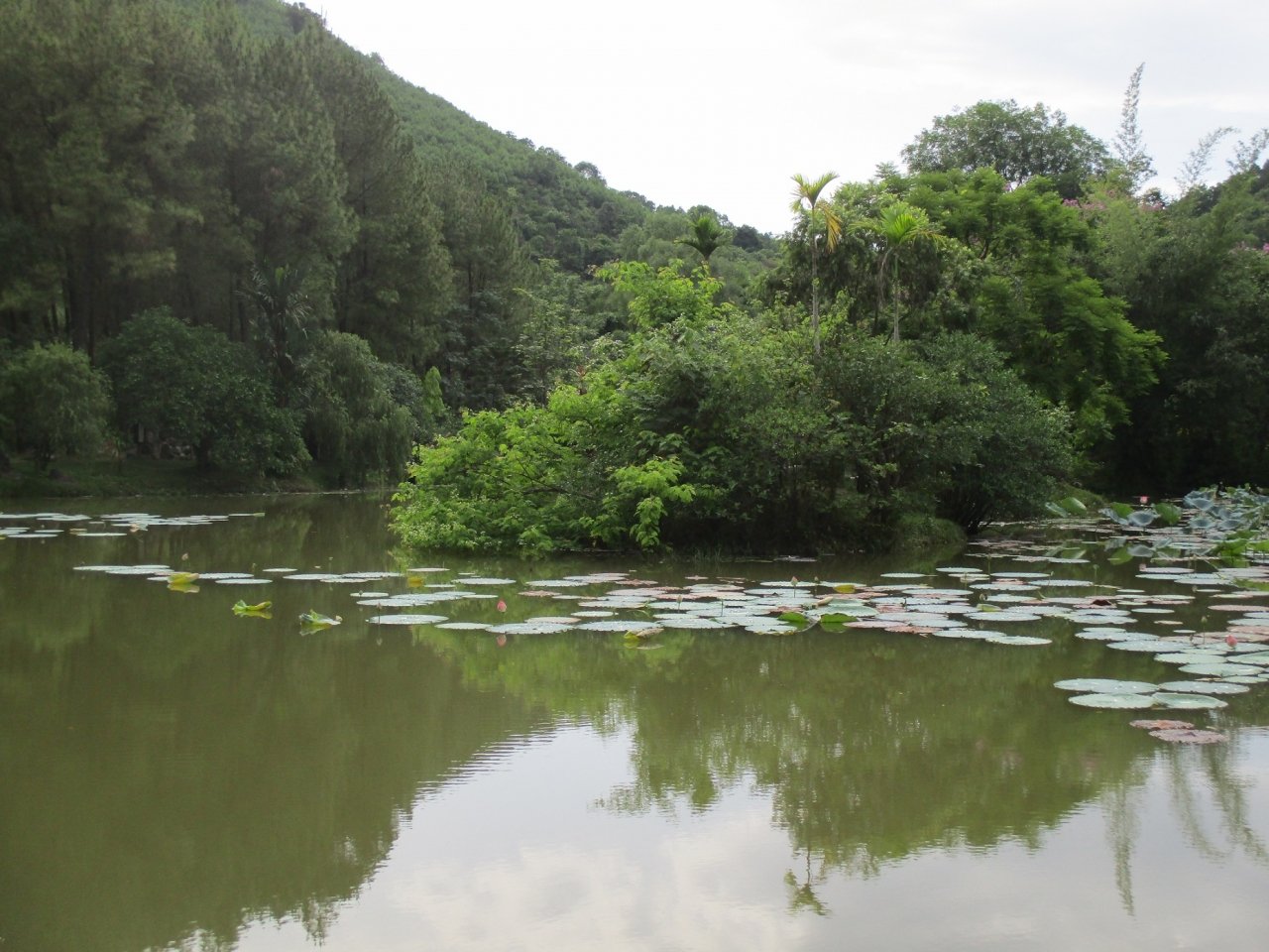 tranh-xa-bui-doi-khi-lac-vao-ngoi-chua-nam-tren-nui-cao