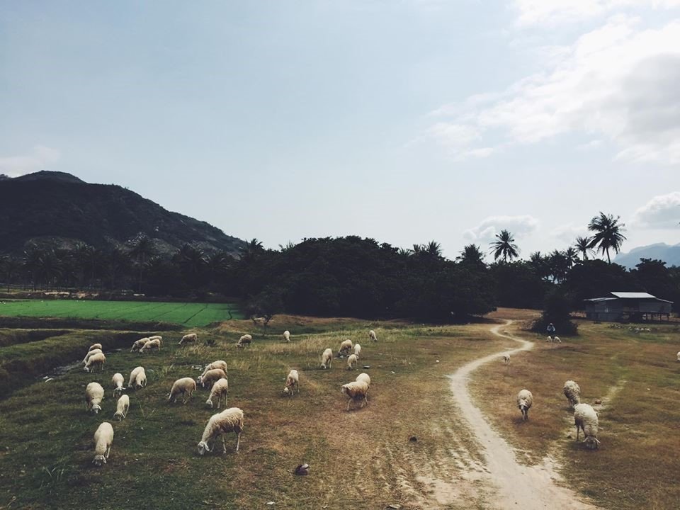 co-gi-tren-cung-duong-phuot-ven-bien-vung-tau-phu-yen