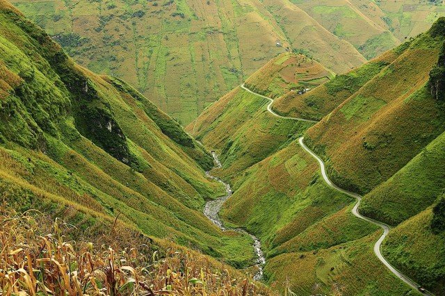 diem ngam hoa tam giac mach o ha giang nhat dinh phai kham pha thang 10 nay