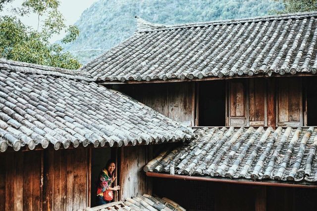 diem ngam hoa tam giac mach o ha giang nhat dinh phai kham pha thang 10 nay