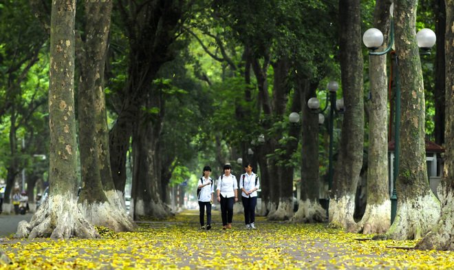 mua-thu-ha-noi-la-vang-roi-tren-tung-con-pho