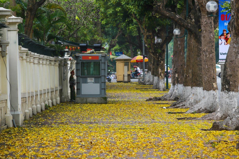 phố trần hưng đạo