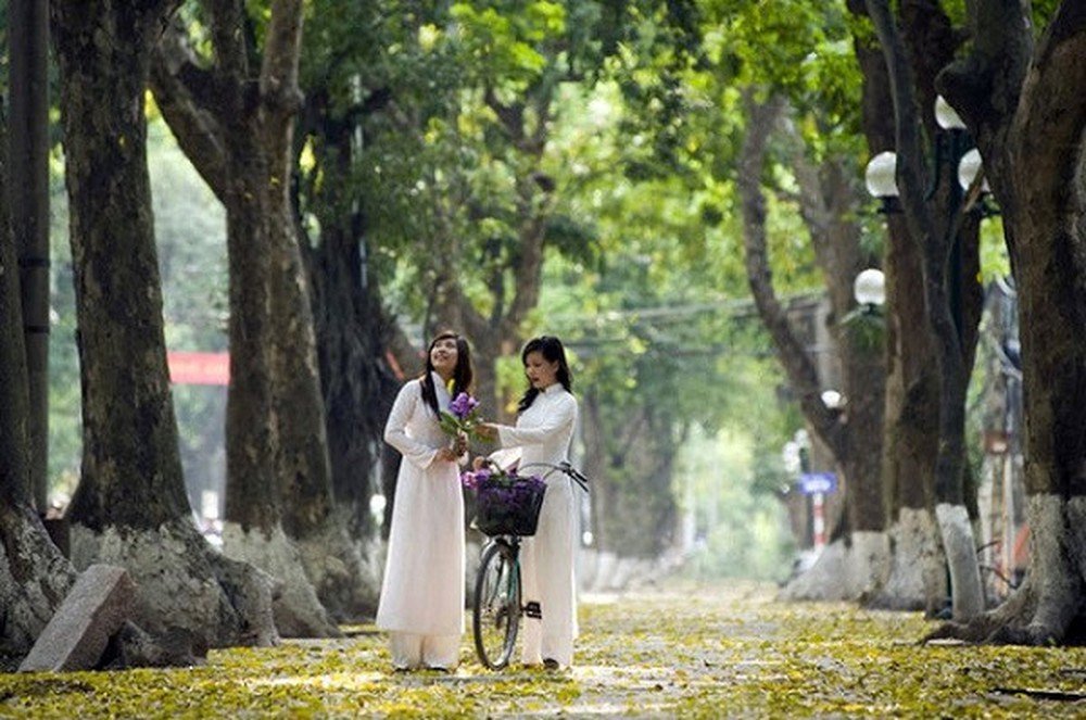 thu-ha-noi-la-vang-roi-tren-tung-con-pho