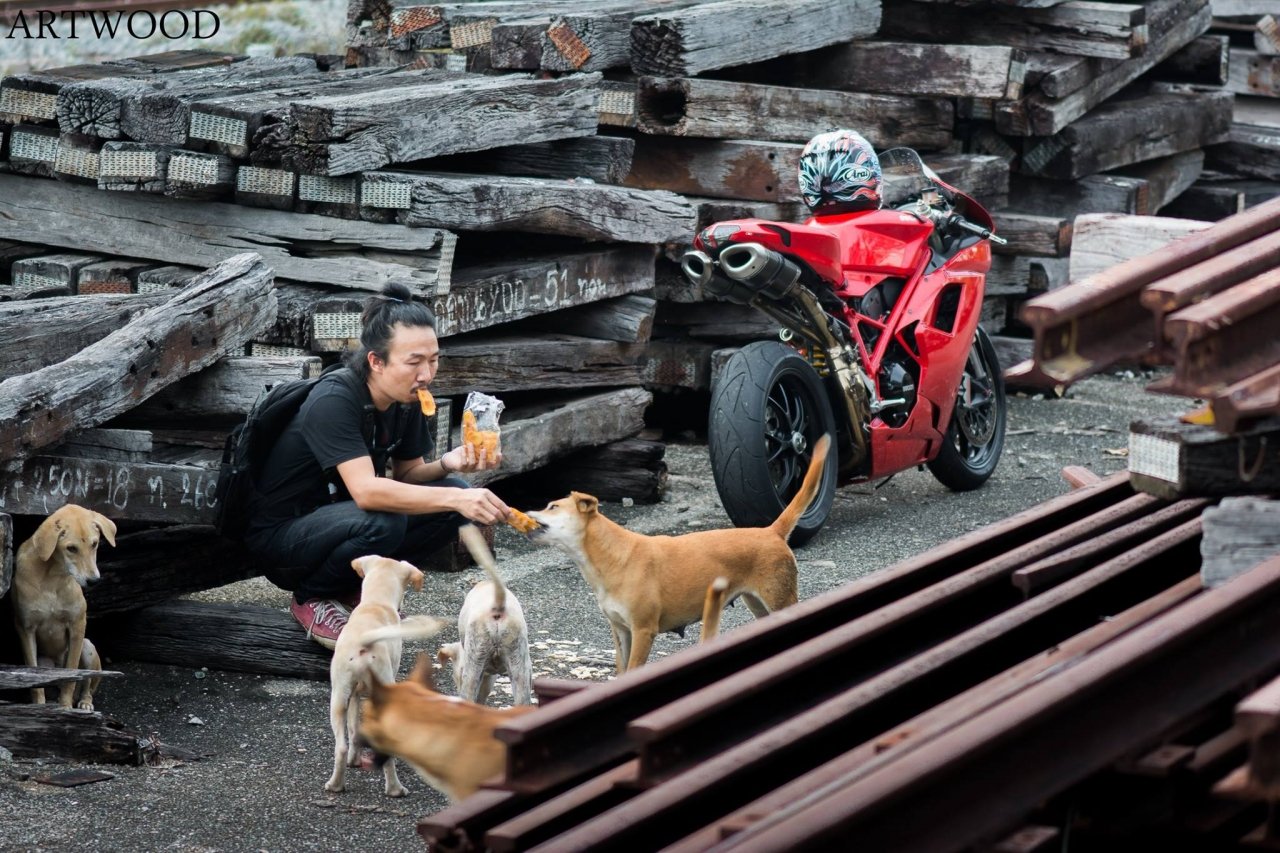 biker-thai-lan-gay-sot-voi-loat-anh-chia-se-do-an-voi-dong-vat-hoang