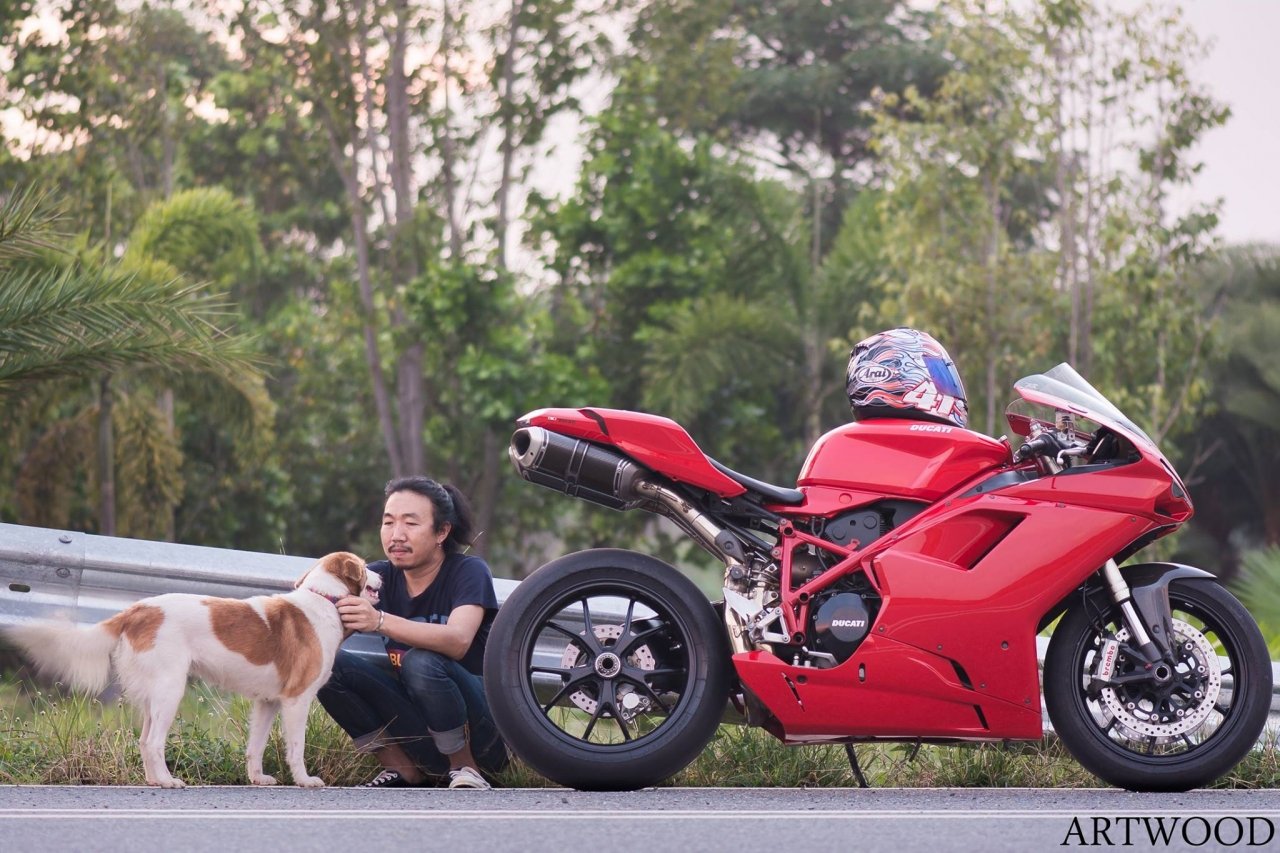 biker-thai-lan-gay-sot-voi-loat-anh-chia-se-do-an-voi-dong-vat-hoang