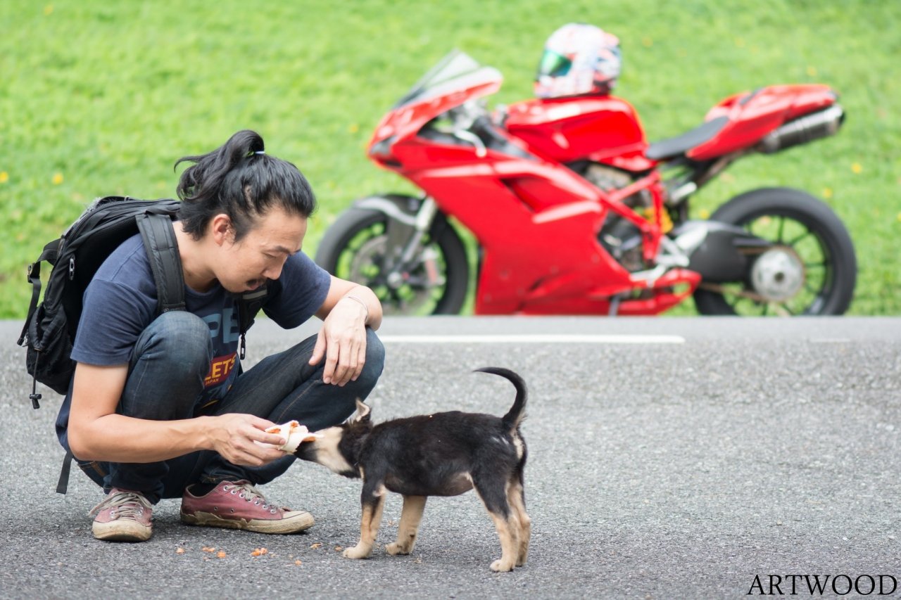 biker-thai-lan-gay-sot-voi-loat-anh-chia-se-do-an-voi-dong-vat-hoang