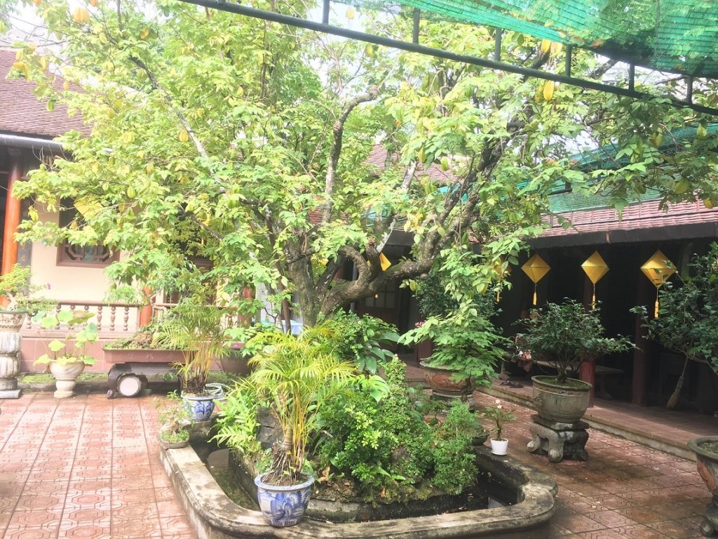 can-canh-to-dinh-noi-thien-su-thich-nhat-hanh-tinh-duong