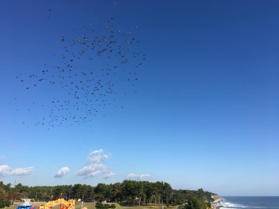 cau-chuyen-ve-fukushima-sau-7-nam-tham-hoa-kep
