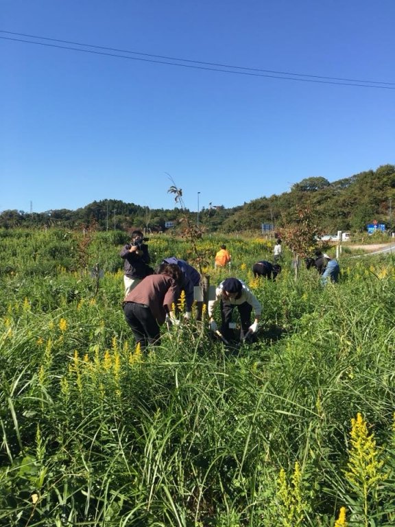 cau-chuyen-ve-fukushima-sau-7-nam-tham-hoa-kep