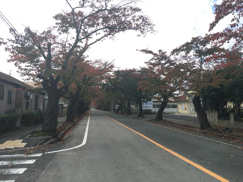 cau-chuyen-ve-fukushima-sau-7-nam-tham-hoa-kep