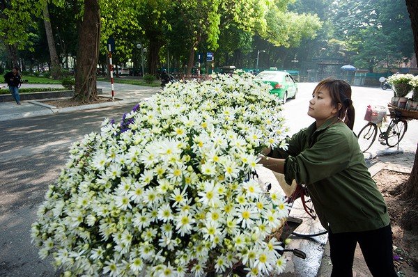 thang-11-diem-hen-cua-nhung-loai-hoa-yeu-thuong