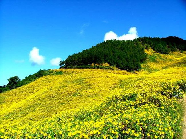 thang-11-diem-hen-cua-nhung-loai-hoa-yeu-thuong