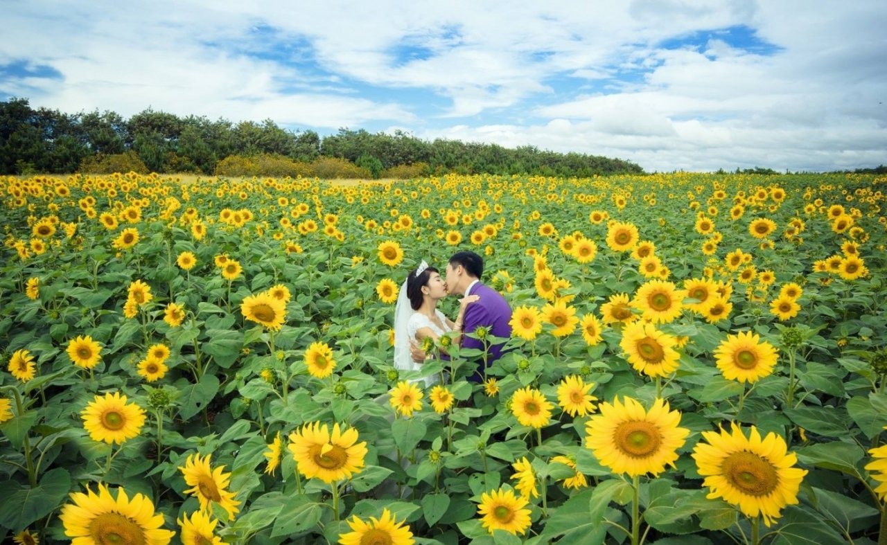 thang-11-diem-hen-cua-nhung-loai-hoa-yeu-thuong