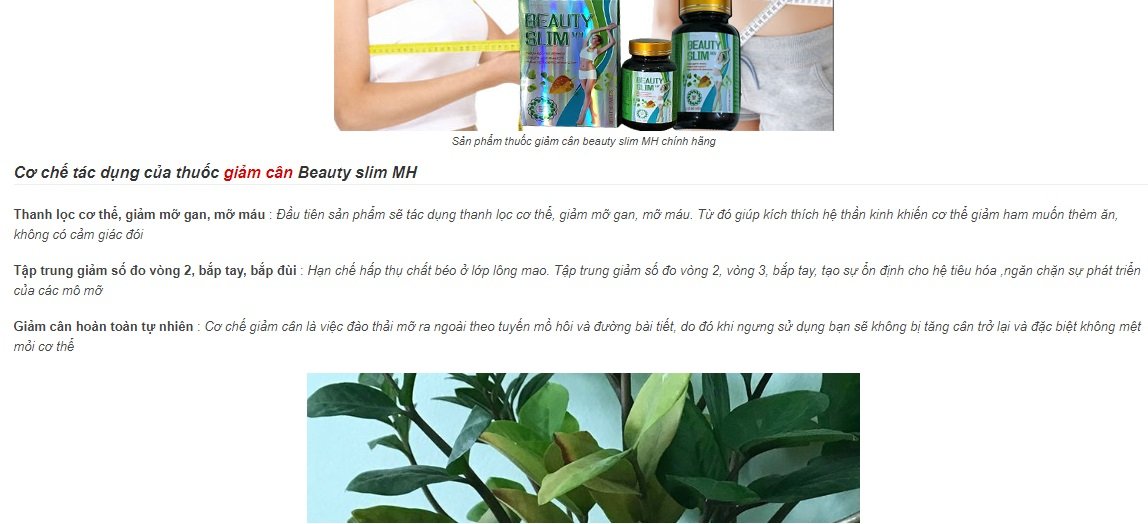 thuc-pham-chuc-nang-beauti-slim-mh-duoc-ho-bien-thanh-thuoc-giam-can-than-ky