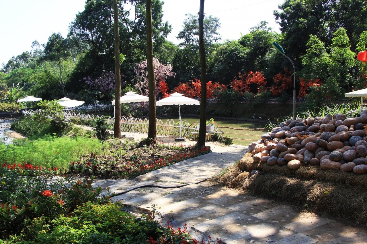 hinh-anh-cong-trinh-xay-dung-trai-phep-trong-khu-di-tich-den-hung