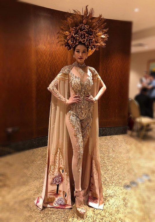 hanh-trinh-den-voi-chiec-vuong-mien-hoa-hau-trai-dat-2018-cua-nguyen-phuong-khanh