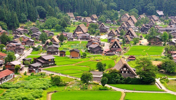 cau-chuyen-ve-van-de-gia-hoa-dan-so-tai-nhat-ban