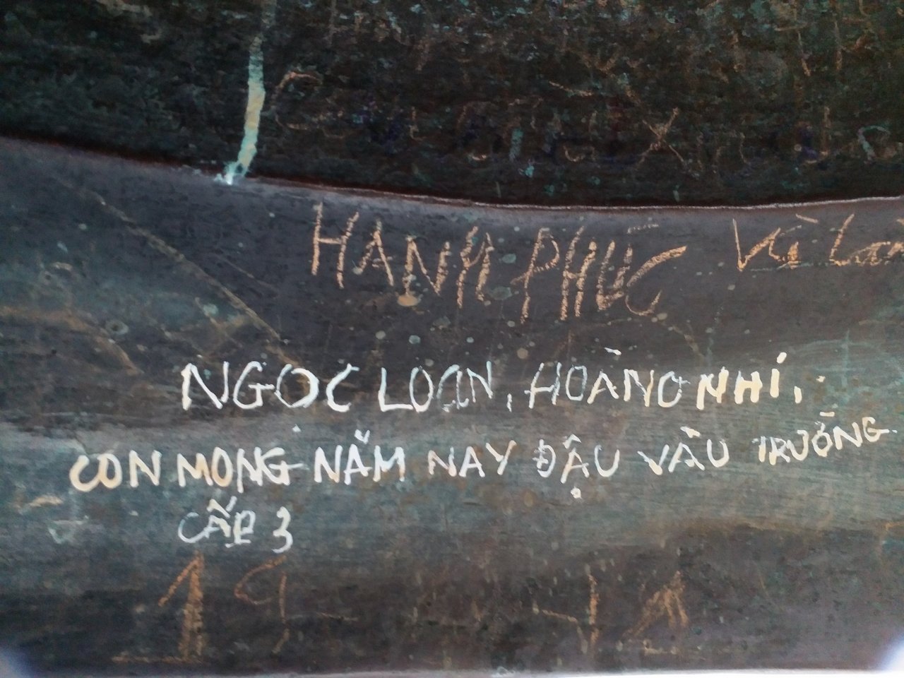 hue-tran-lan-tinh-trang-ve-viet-bay-len-di-tich