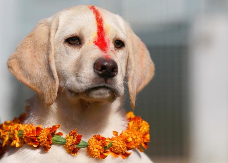 le-hoi-anh-sang-diwali