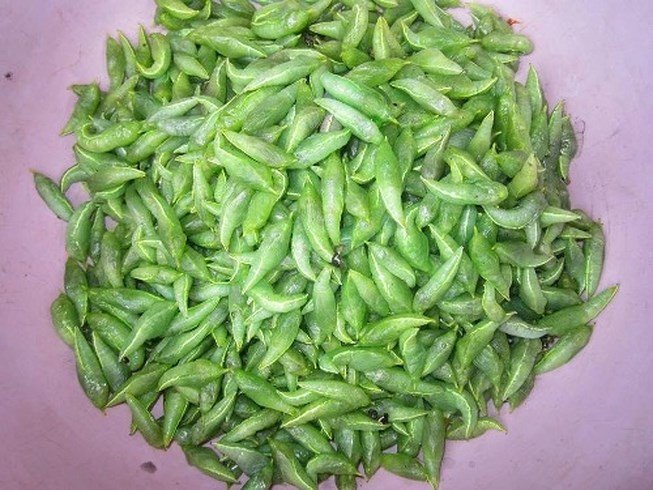 Mặc kệ mọi sự sợ hãi, người Tây Nguyên vẫn háo hức với đặc sản không ai dám ăn này - Ảnh 2. Mặc kệ mọi sự sợ hãi, người Tây Nguyên vẫn háo hức với đặc sản không ai dám ăn này - Ảnh 2.
