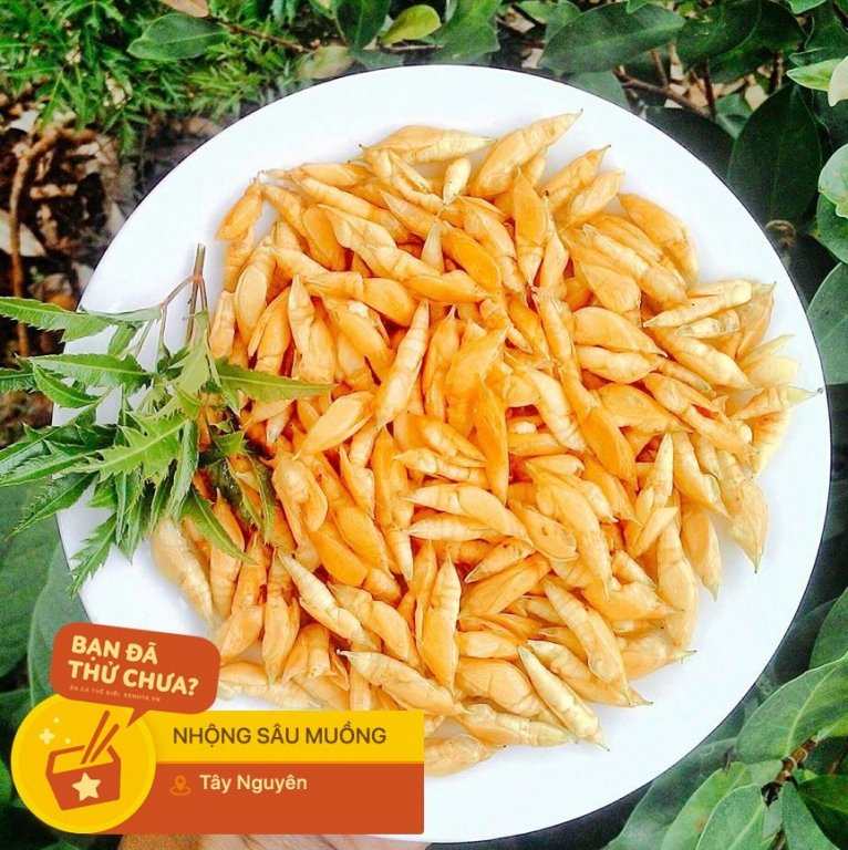 Mặc kệ mọi sự sợ hãi, người Tây Nguyên vẫn háo hức với đặc sản không ai dám ăn này - Ảnh 6. Mặc kệ mọi sự sợ hãi, người Tây Nguyên vẫn háo hức với đặc sản không ai dám ăn này - Ảnh 6.