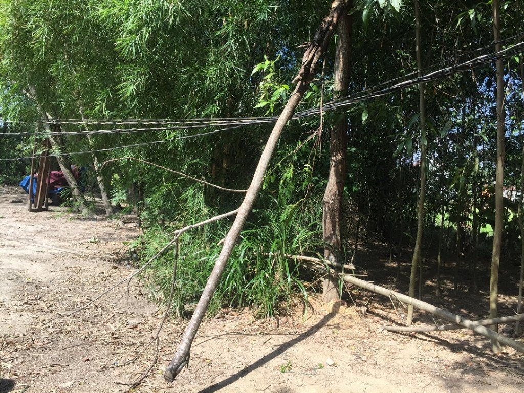 duong-day-dien-nam-thap-bay-nguoi-dan