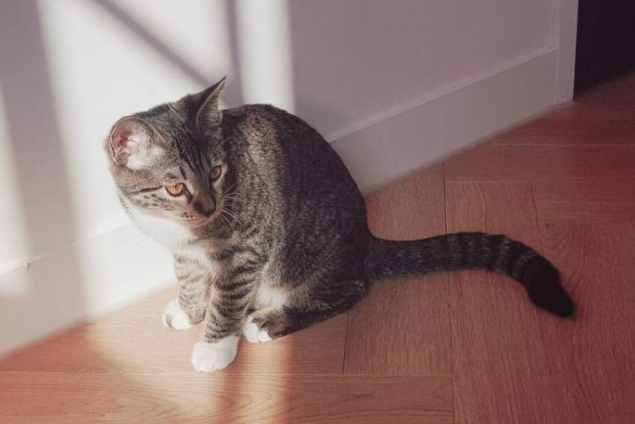 meokim