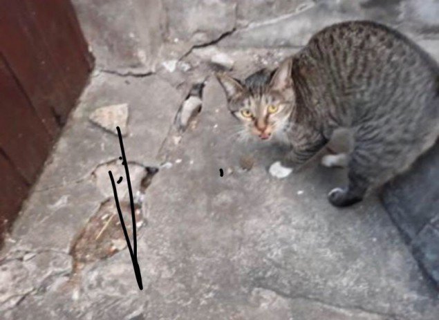 meokim2
