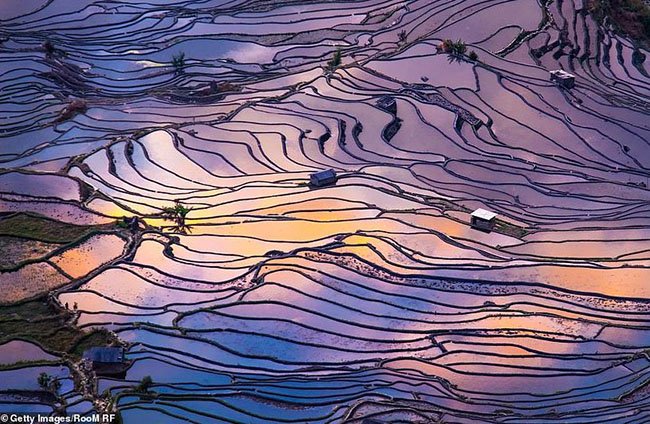 khung-canh-trang-le-tu-goc-nhin-tren-cao-tai-noi-dong-dan-nhat-the-gioi