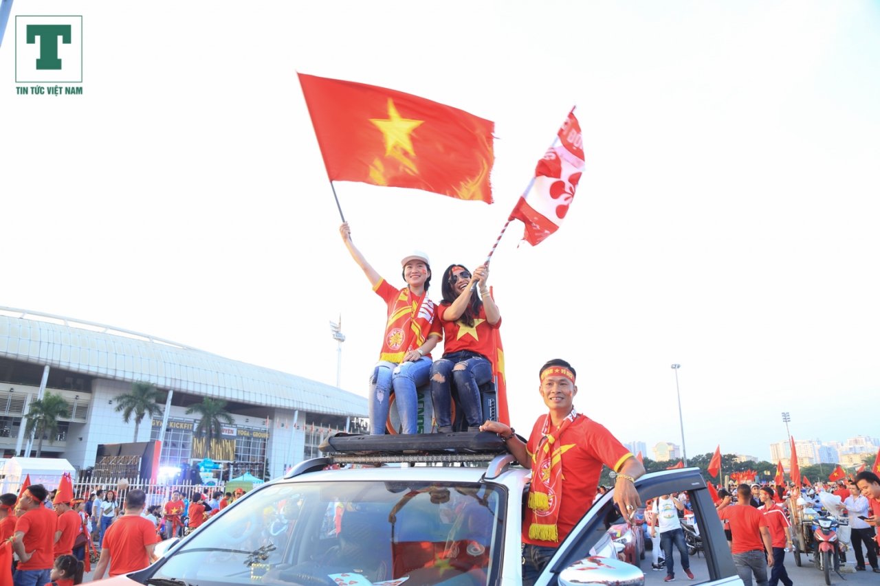 bong-hong-cdv