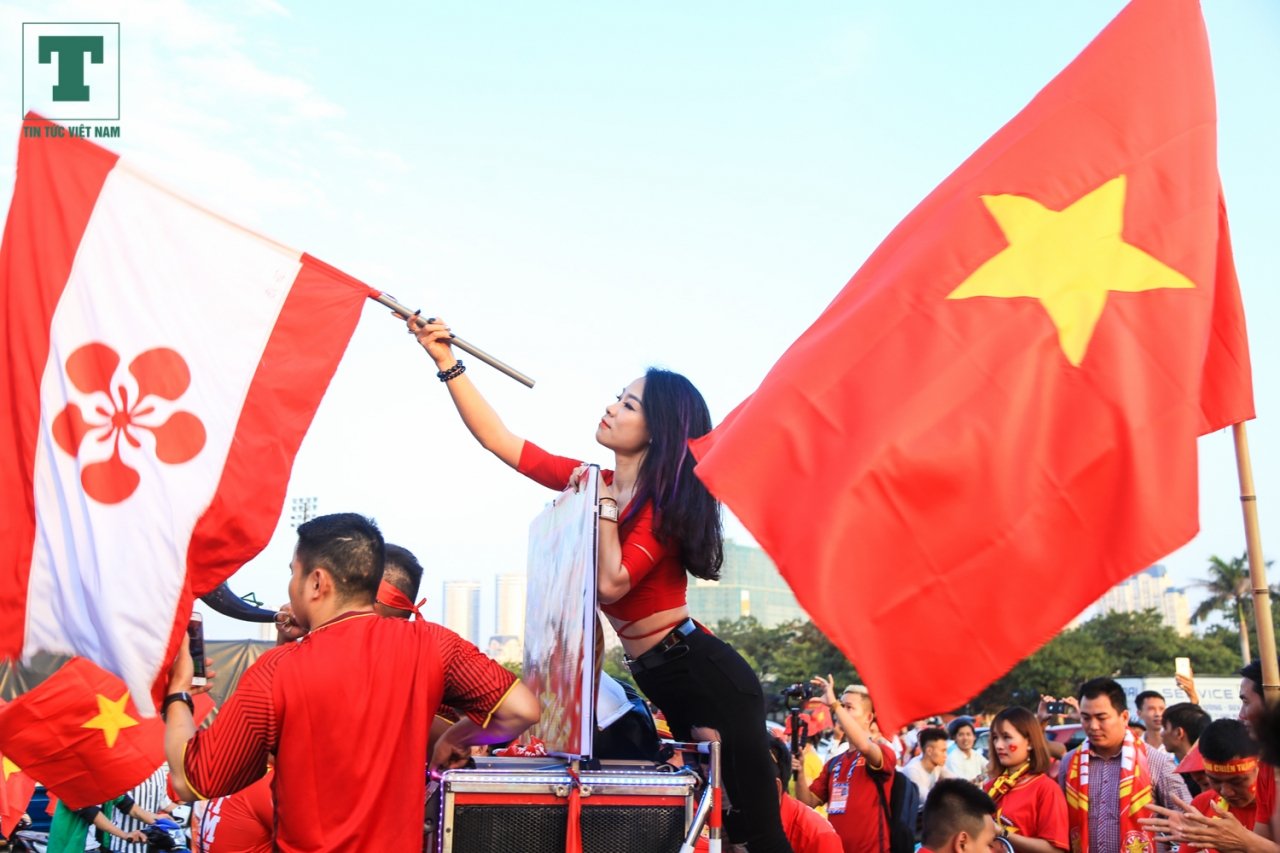 bong-hong-cdv