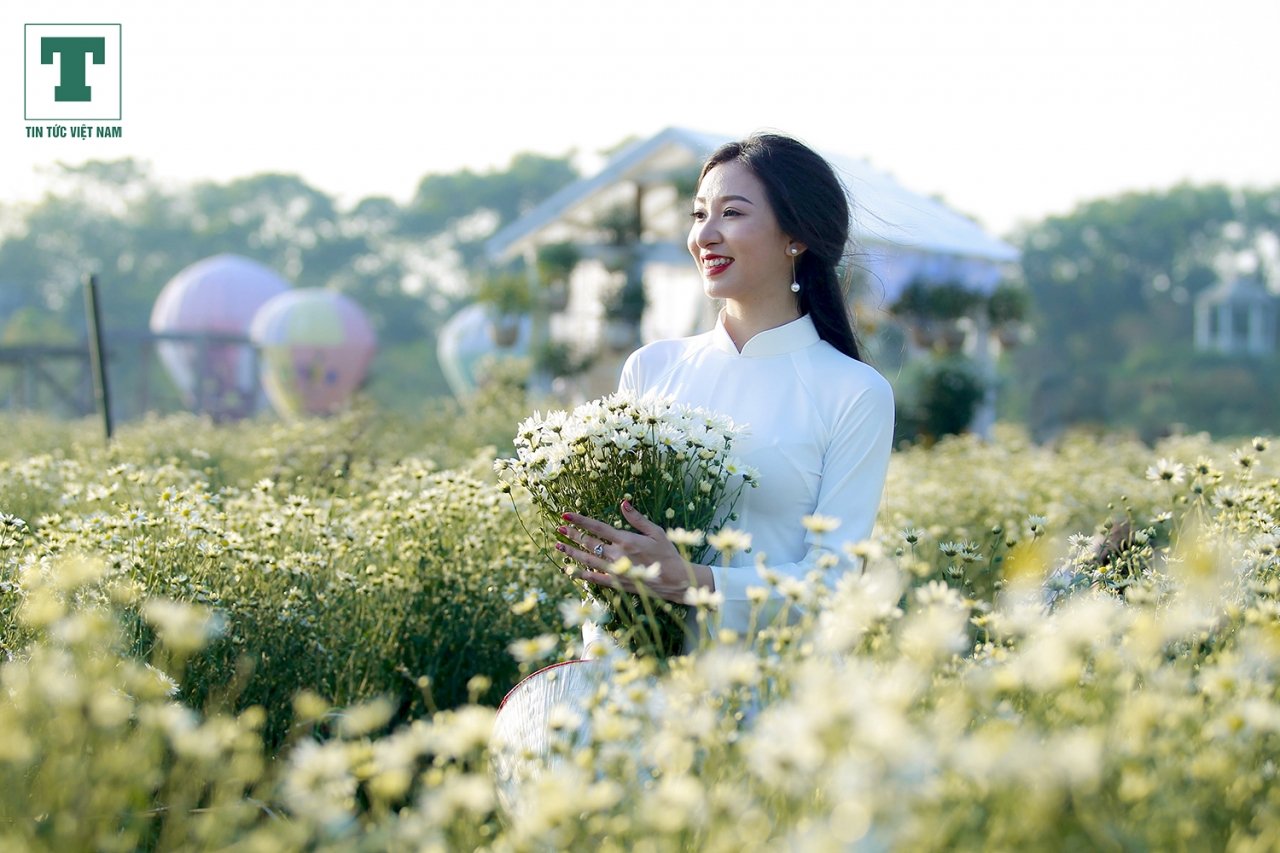 ve-dep-cua-nu-sinh-ha-noi-thuot-tha-ao-dai-trang-ben-cuc-hoa-mi
