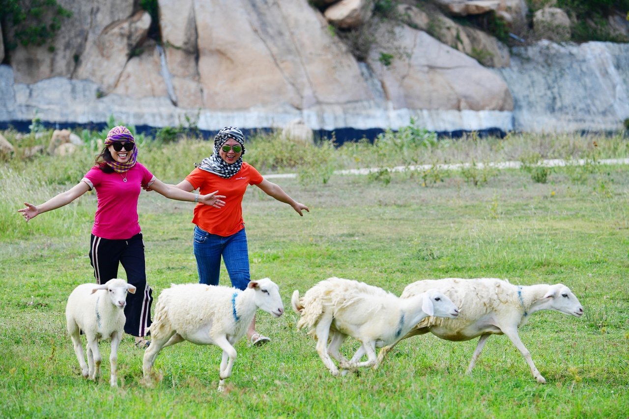 Ve dep tho mong va nhung bat ngo o vung nang gio Ninh Thuan hinh anh 18