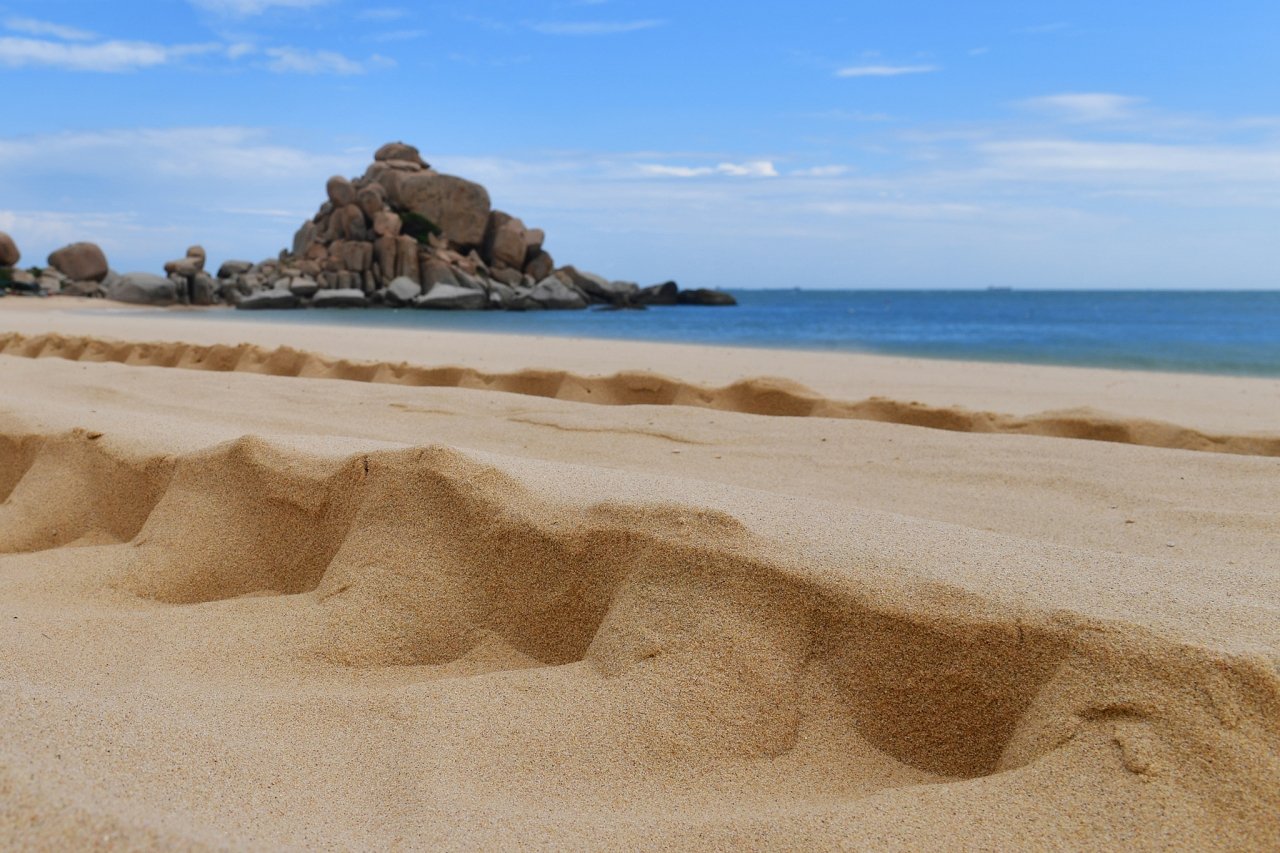 Ve dep tho mong va nhung bat ngo o vung nang gio Ninh Thuan hinh anh 5