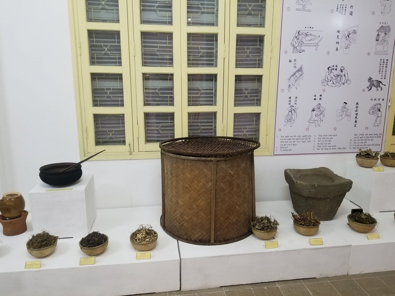 tai-hien-tinh-hoa-dong-y-hue-xua-va-nay