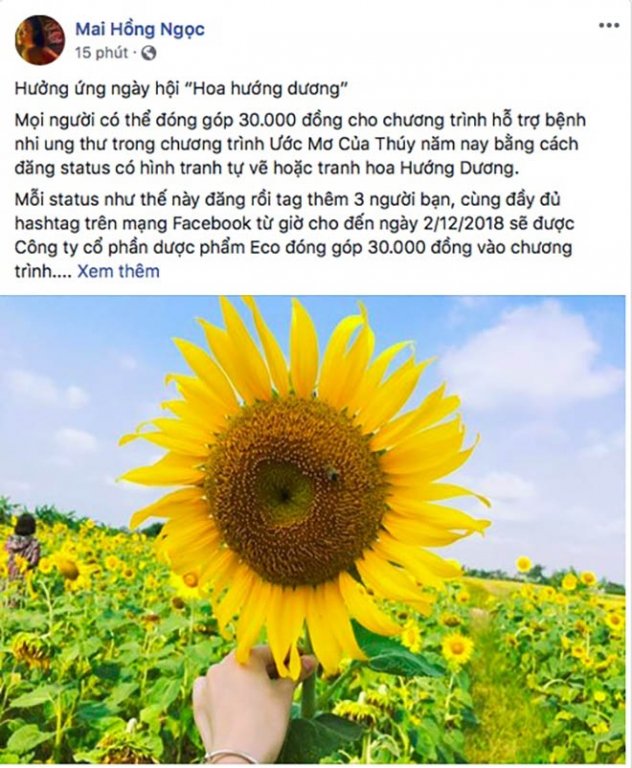 vi-sao-hang-loat-nguoi-noi-tieng-dong-loat-dang-anh-hoa-huong-duong
