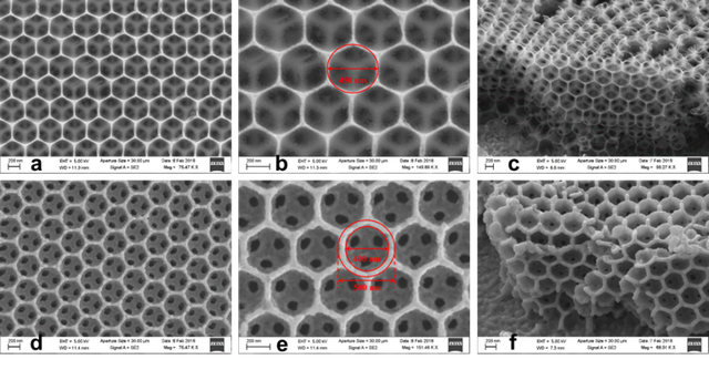 Ảnh FESEM của vật liệu nano TiO2 (SnO2) (a-c) và TiO2-WO3 (d-f) cấu trúc inverse opal.