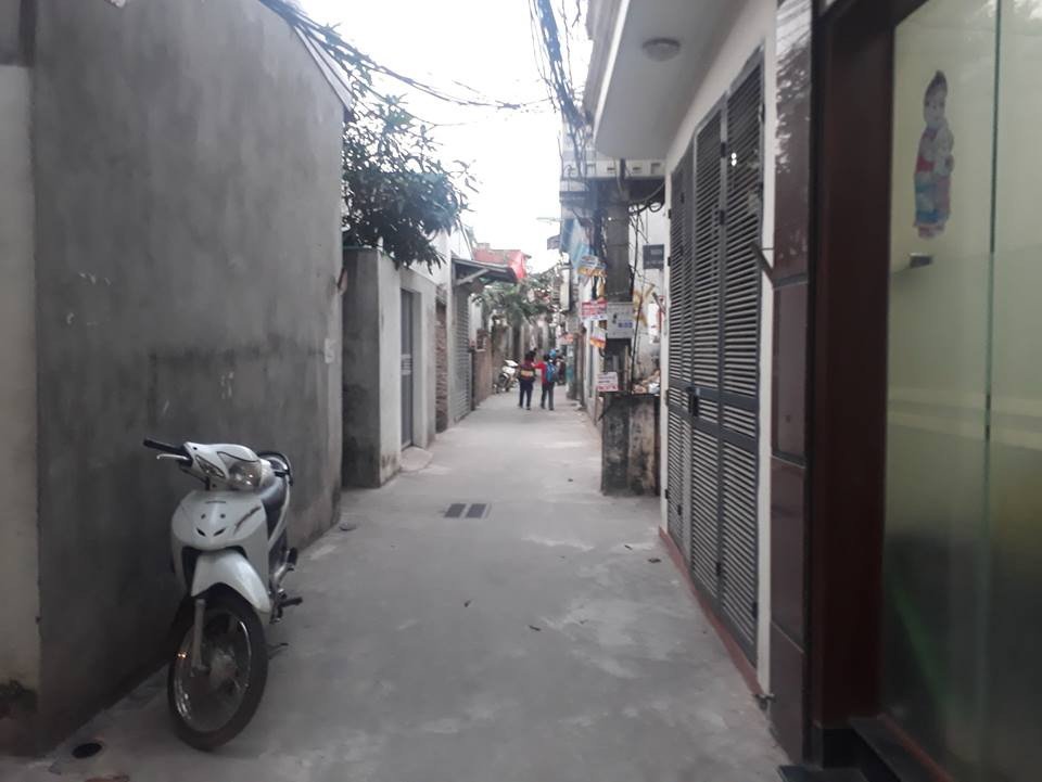 ha-noi-hoc-sinh-tieu-hoc-bi-4-con-cho-hang-xom-tan-cong-phai-nhap-vien