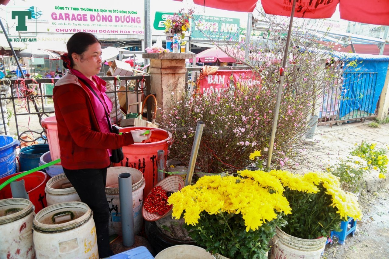 hoa-dao-bat-ngo-xuat-hien-tai-cho-dau-moi-giua-tiet-troi-nang-am