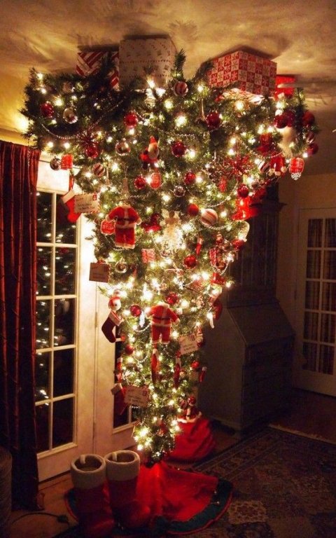 cay-thong-noel