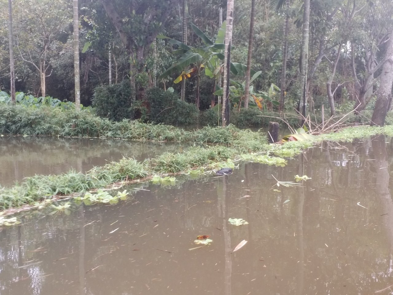 thuy-dien-dieu-tiet-nuoc-ha-du-ngap-tren-dien-rong