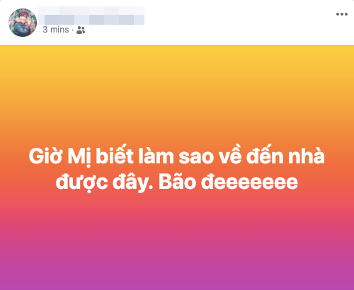 sac-do-ngap-mang-xa-hoi-khi-viet-nam-vo-dich-aff-cup