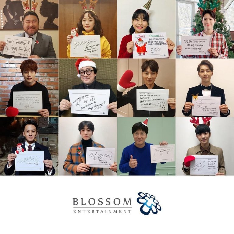 blossom-15456240385951638387222