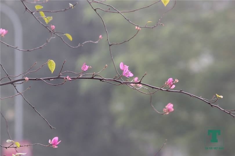 mot-ha-noi-binh-yen-trong-ngay-nang-cuoi-mua