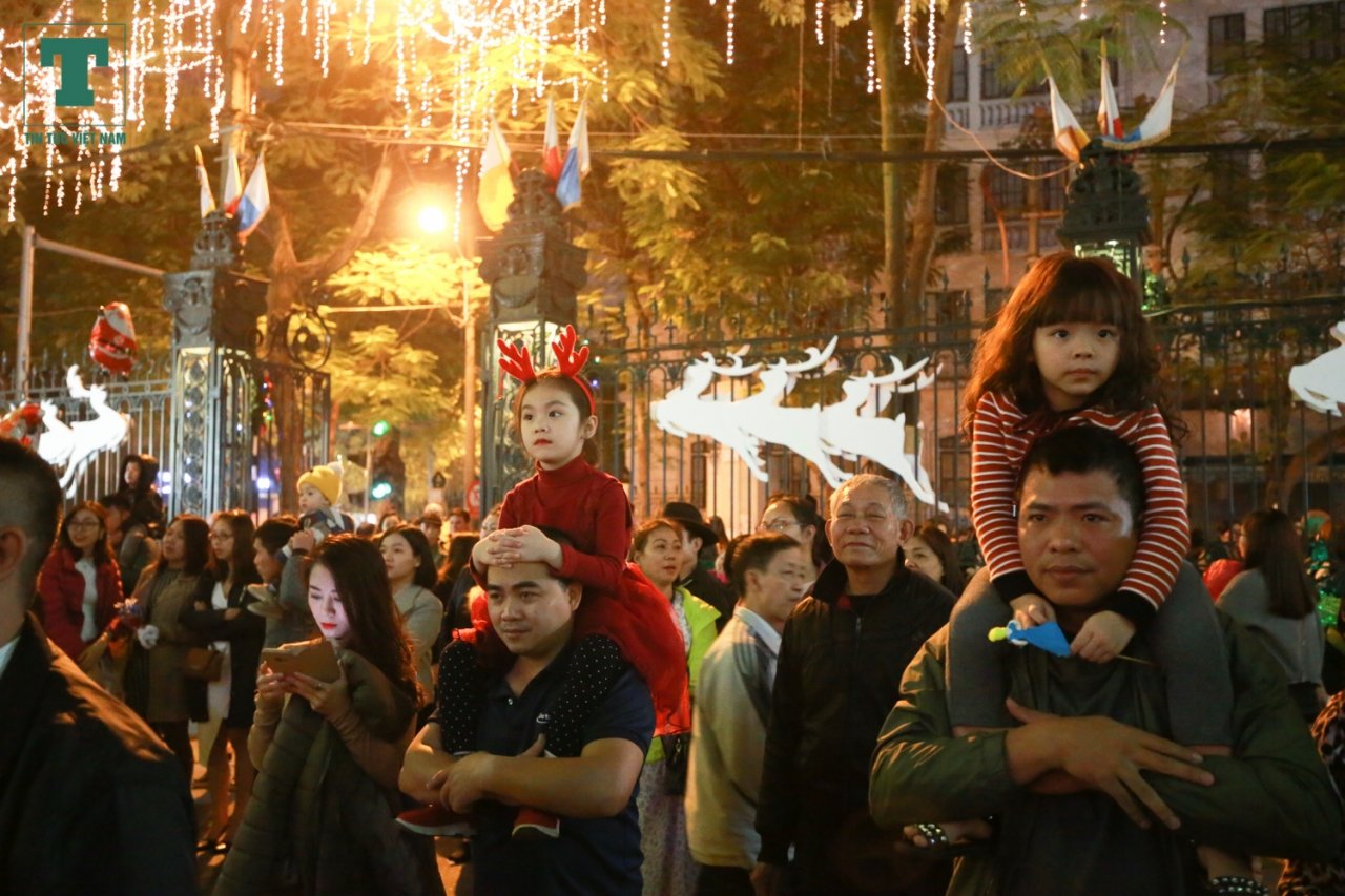 nhung-bong-hong-hoa-trang-thanh-tuan-loc-sieu-de-thuong-trong-dem-noel