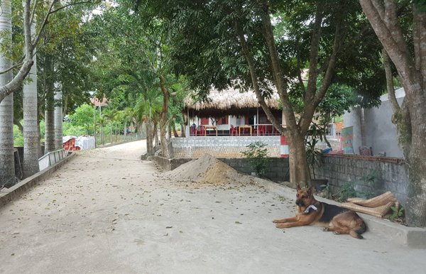 danh-chet-nguoi-bo-con-nguyen-dai-ta-cong-an-nhan-an-treo
