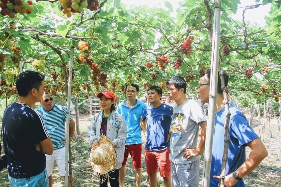 Những điểm “sống ảo” cho du khách dịp Tết dương lịch - Ảnh 5.