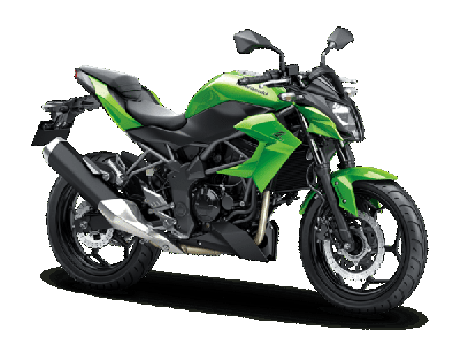 diem-mat-tu-vuong-trong-phan-khuc-250-cc