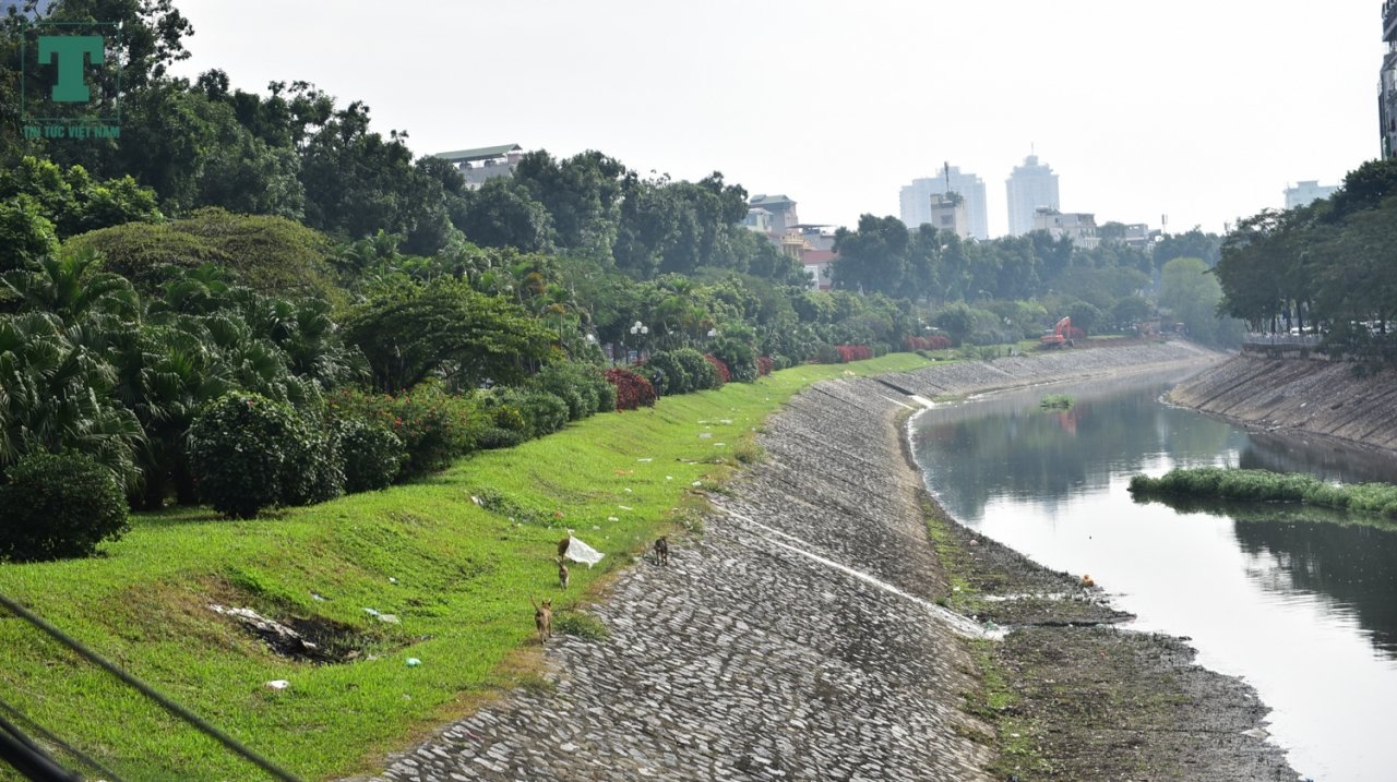ha-noi-ngam-hang-cay-xanh-muot-tren-duong-lang-truoc-ngay-di-chuyen