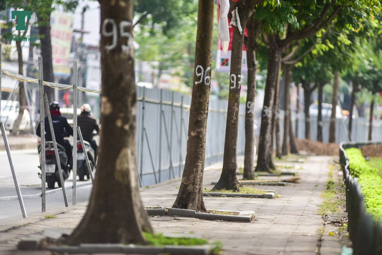 ha-noi-ngam-hang-cay-xanh-muot-tren-duong-lang-truoc-ngay-di-chuyen